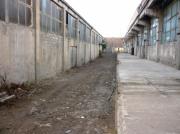 Vanzare hale industriale la 7 km de Ploiesti, de investit