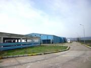 Vanzare Abator+Ferma proprie ovine in Buzau