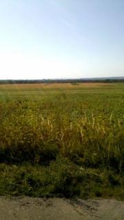 Vanzare teren intravilan 17500 mp in Bucov