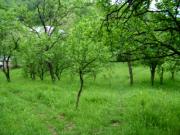 Vanzare teren zona Cornu