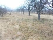 Vanzare teren intravilan in Lipanesti