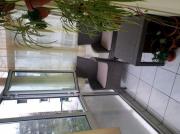 Apartament 3 camere de vanzare in zona Paltinis-Enachita Vacarescu