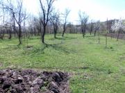 Vanzare teren intravilan in Predelul Sarari, zona Valenii de Munte
