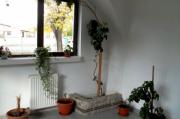 Inchiriere spatiu comercial Baicoi