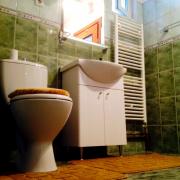 Casa-vila de inchiriat in zona Bucov-Mica Roma