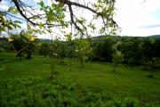 Vanzare teren intravilan in Surani zona ultracentrala