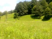 Vanzare teren intravilan in Cheia