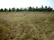 Vanzare teren intravilan 2 ha in Paulesti pentru constructii