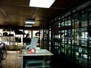 Inchiriere spatiu comercial 150 mp in Ploiesti langa Piata Centrala