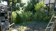 Vanzare teren intravilan 600 mp in Bucov