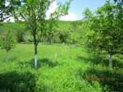 Vanzare teren intravilan in Valenii de Munte