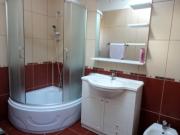 Inchiriere vila 4 camere mobilata lux in Izvorani-Ciolpani