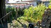 Vanzare teren intravilan 600 mp in Bucov