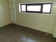 Vanzare casa-vila in zona Paulesti