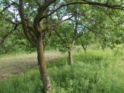 Vanzare teren intravilan in Teisani 