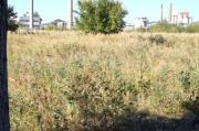 Vanzare teren intravilan in orasul Boldesti-Scaeni
