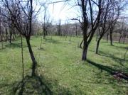 Vanzare teren intravilan in Predelul Sarari, zona Valenii de Munte