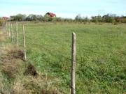 Vanzare teren intravilan in Bran-Tohanul Nou