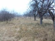 Vanzare teren intravilan in Lipanesti