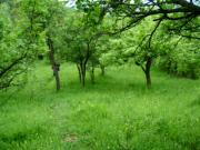Vanzare teren zona Cornu