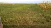 Vanzare teren extravilan 7300 mp