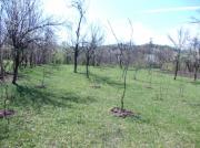 Vanzare teren intravilan in Predelul Sarari, zona Valenii de Munte
