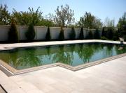 Vanzare vila la rosu cu piscina, destinatie business in Paulesti