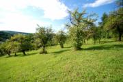 Vanzare teren intravilan in Surani zona ultracentrala