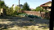 Vanzare teren intravilan 600 mp in Bucov