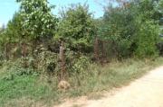 Vanzare teren intravilan in Baicoi
