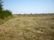 Vanzare teren intravilan 2 ha in Paulesti pentru constructii