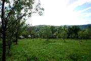 Vanzare teren intravilan in Surani zona ultracentrala